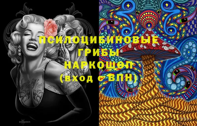 купить наркоту  Горно-Алтайск  Псилоцибиновые грибы Cubensis 